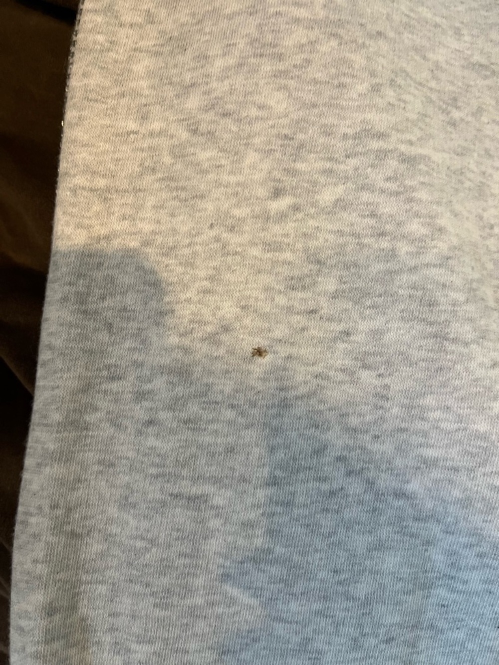 PINK Grey Sparkle Jogger Pants - Picture 7 of 7